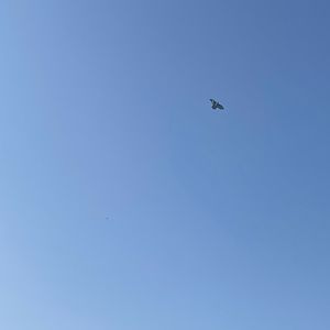 漠河舞厅