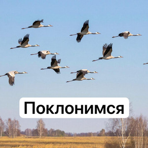 Поклонимся