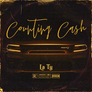 Counting Cash