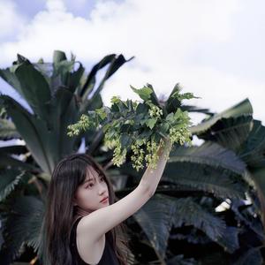 歌一首一首放（人一个一个忘）