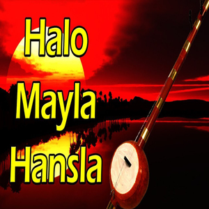 Halo Mayla Hansla