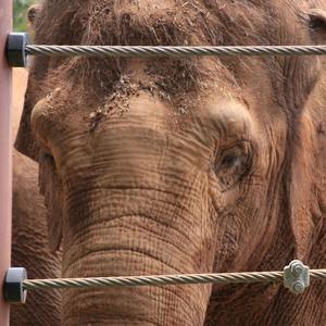 King's Court In Session
