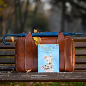 Пътешествие с Рей