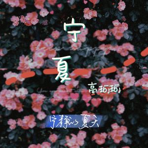 宁夏（ 宁静的夏天 ）