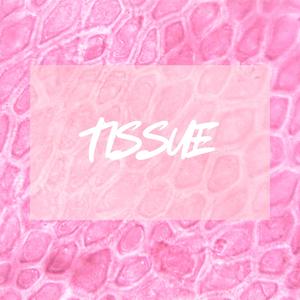 TISSUE