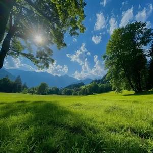 土地与汗水的丰收谣