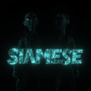 SIAMESE (feat. The Krowne)