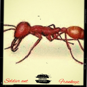Soldier Ant