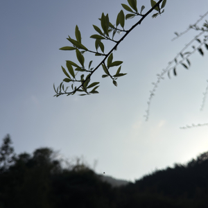 悠闲时光