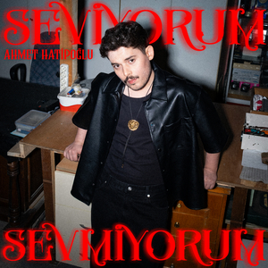 Seviyorum Sevmiyorum