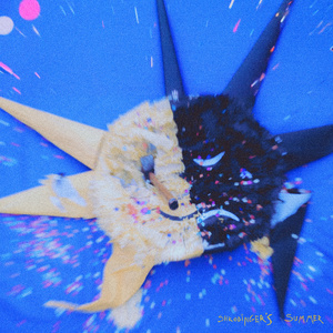 Schrödinger's Summer