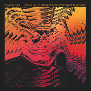 Valley Of Paradise (Bushwacka! Remix)