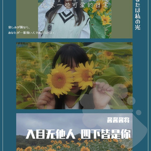 骑士（翻自黄龄）