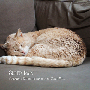 Work Effectively with Rain and Thunder Sound