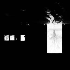 Esőerdős élmények a kádban