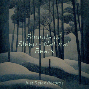 Echoes of the Infinite Voyage