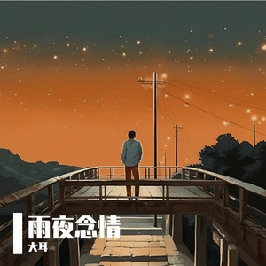 雨夜念情