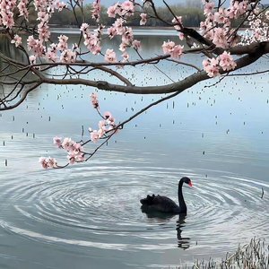 咏春（抖音热播版）