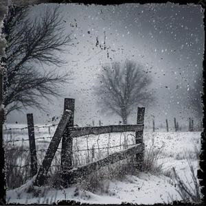Nieve