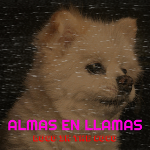 Almas En Llamas