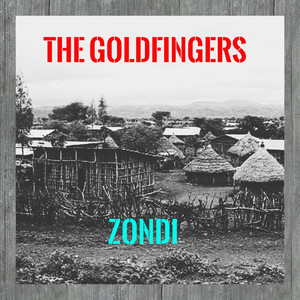 Zondi