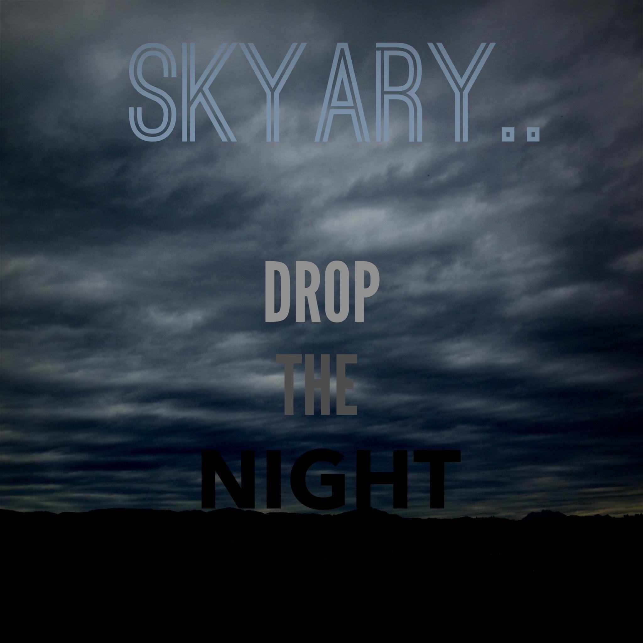 drop the night - skyary - 网易云音乐