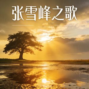 张雪峰之歌