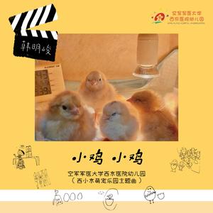 小鸡小鸡（空军军医大学西京医院幼儿园西小京萌宠乐园主题曲）