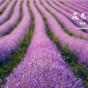 安和桥（翻自 宋冬野）