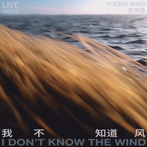 我不知道风