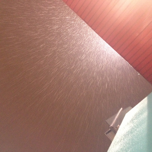 在我死去的那天