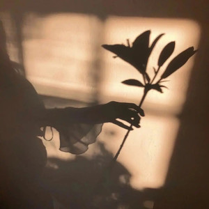 我想你365天外加65秒