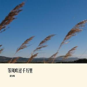 等风吹过千万里
