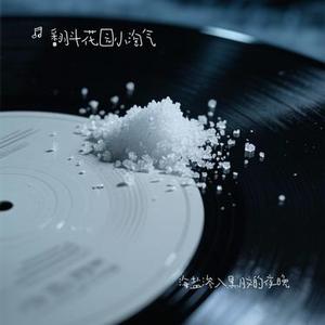 海盐渗入黑胶的夜晚