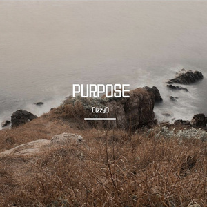Purpose