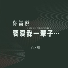 你曾说要爱我一辈子