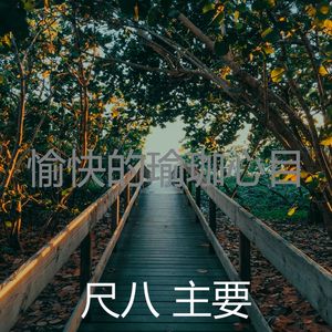 一尘不染情怀印象数