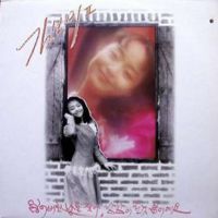 신데렐라의 유리구두