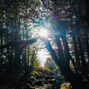 Suns And Moons (feat. LYHE)