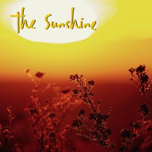 The Sunshine (feat. Antonia Marquee)
