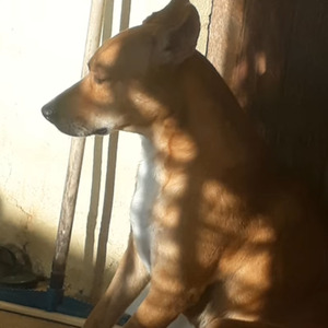 Tudo Que Eu Não Te Disse