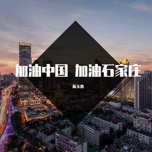 中国加油 石家庄加油