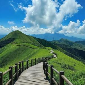 相爱不是三言两语