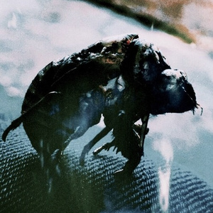 Let Me Die Here w scum (prod. trxpicvl)