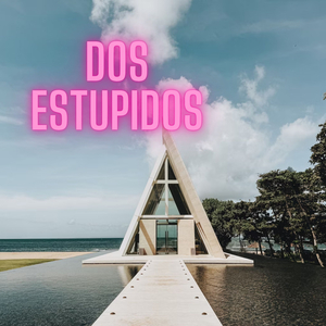 Dos Estúpidos