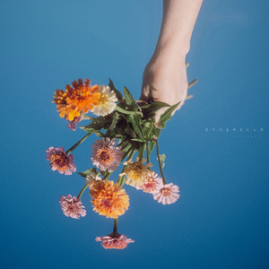 어른들을 위한 동화