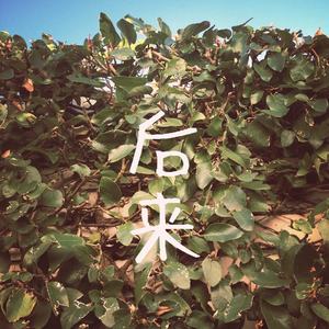 后来（翻自 刘若英）