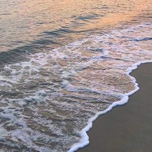 甘心替代你（翻自 毛不易）