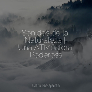 Conciencia Completa