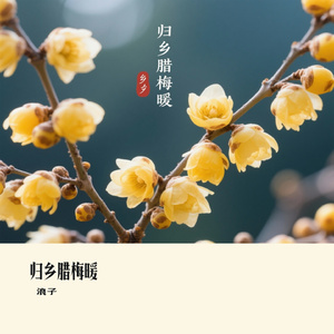 归乡腊梅暖